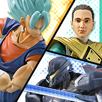 USA Tamashii Web Site reopened after renovation!  Check out new information!