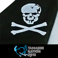 【秋葉原UDX会場◎展示情報】「METAL BUILD」や「マクロス」などの展示に注目!「隼一型 約1/1モデル」続報も!!