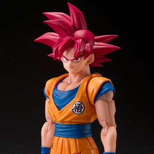 超サイヤ人ゴッド孫悟空〈神の気を纏いし姿〉