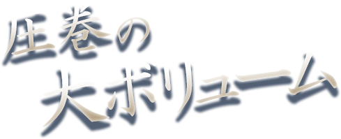 圧巻の大ボリューム