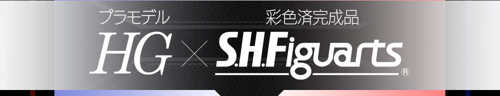 S.H.Figuarts TAMASHII GIRL AOI