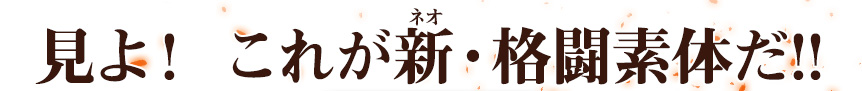 見よ！これが新・格闘素体だ！