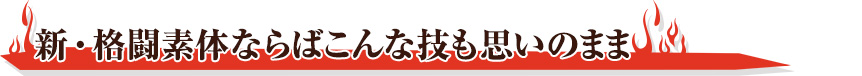 新・格闘素体ならばこんな技も思いのまま